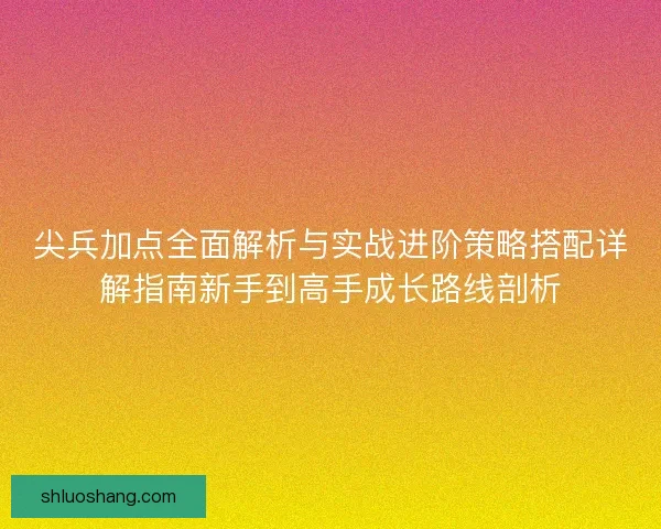 尖兵加点全面解析与实战进阶策略搭配详解指南新手到高手成长路线剖析